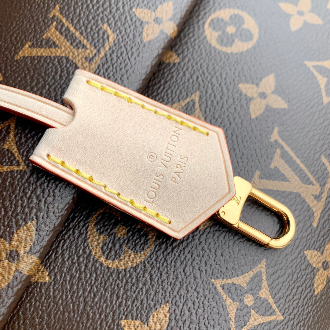 LOUIS VUITTON CLUNY MINI 20 IN BROWN MONOGRAM CANVAS